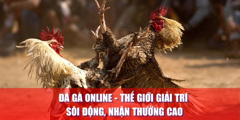 Đá gà online thế giới giải trí sôi động nhận thưởng cao