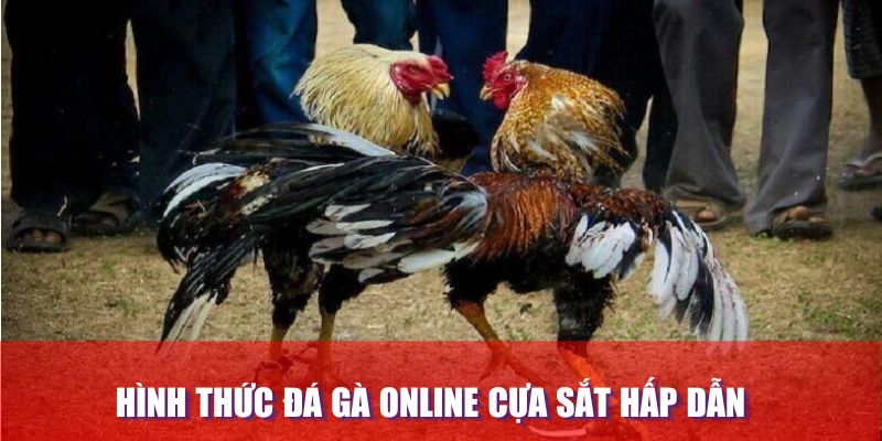 Hình thức đá gà online cựa sắt hấp dẫn