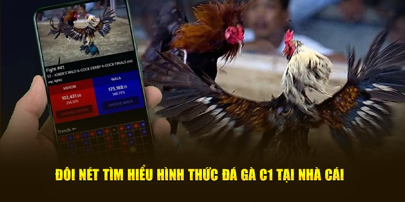 Đôi nét tìm hiểu hình thức đá gà C1 tại nhà cái